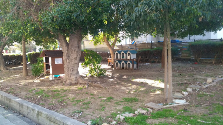 Cat park Larnaca