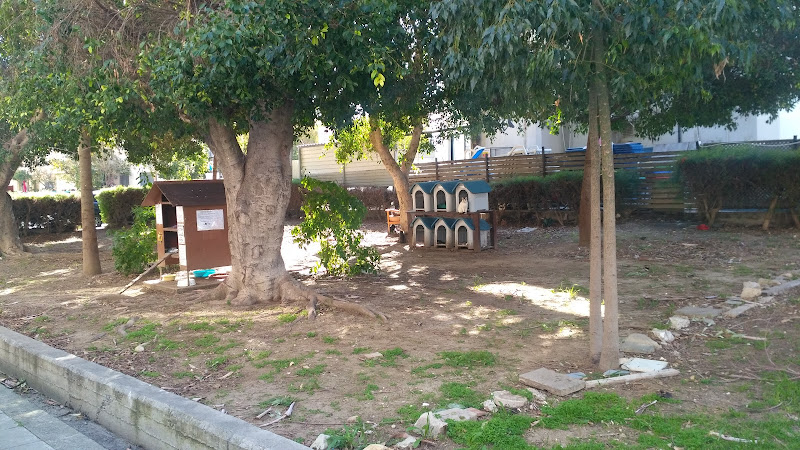 Cat park Larnaca