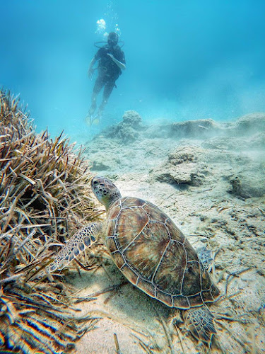 Easy Divers Cyprus
