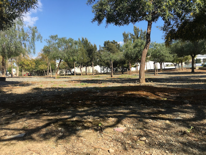 G Park
