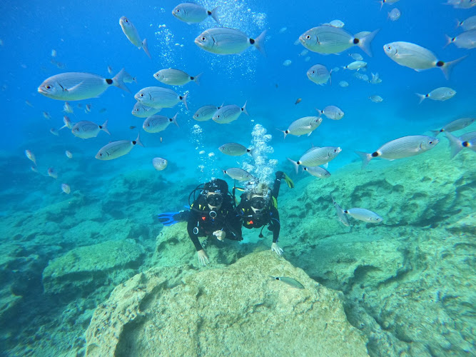 I Dive Cyprus