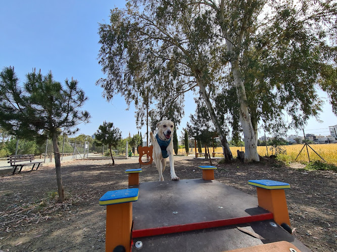 Germasogia dog park