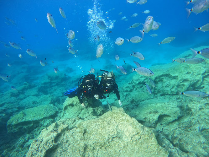 I Dive Tec Rec Centers Plc