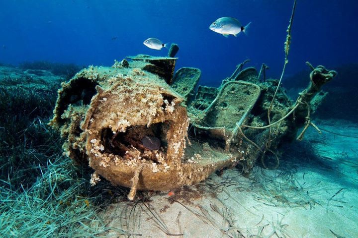 Crest Dive