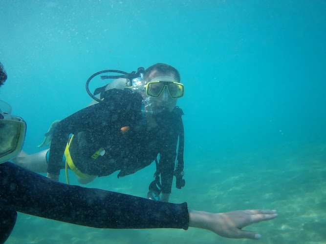 ABC Dive Club