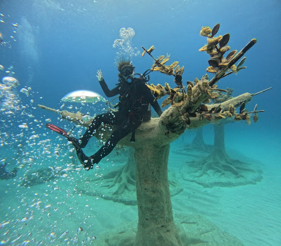 Gotodive Diving Center Cyprus