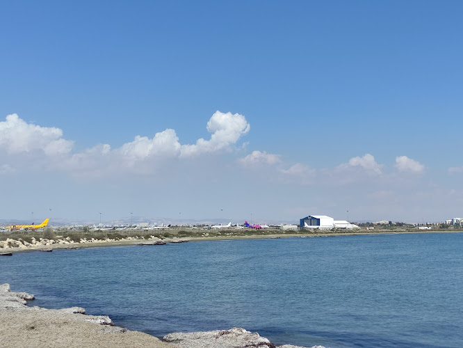 BEACH FOR DOGS