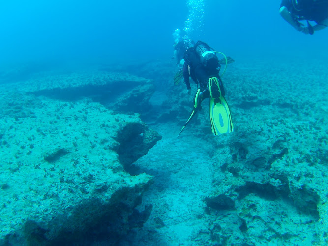 Yellow Fins Scuba Centre