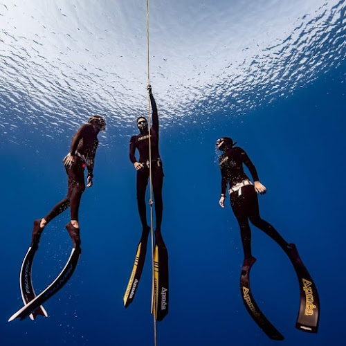 Freedom Diving Center (meeting point)