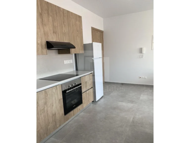 1 Bedroom Apartment for Rent in Agios Dometios, Nicosia District