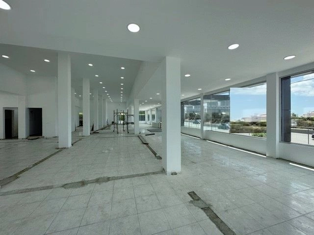 1800m² Building for Rent in Limassol – Mesa Geitonia