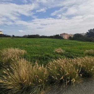 6,021m² Plot for Sale in Pegeia, Paphos District