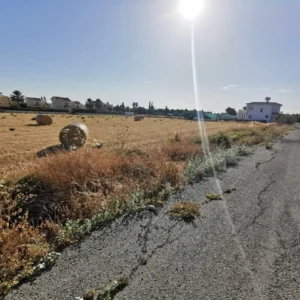 7,769m² Plot for Sale in Coral Bay, Paphos District