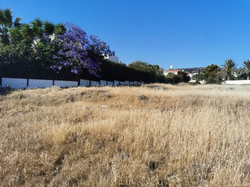 6,200m² Plot for Sale in Pegeia, Paphos District