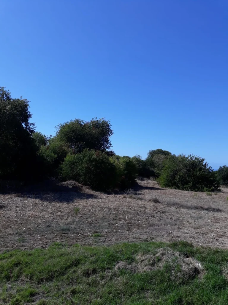 for Sale in Trachypedoula, Paphos District