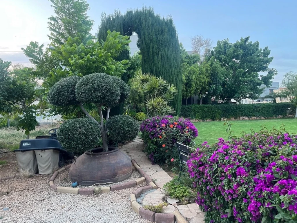 for Sale in Limassol – Zakaki