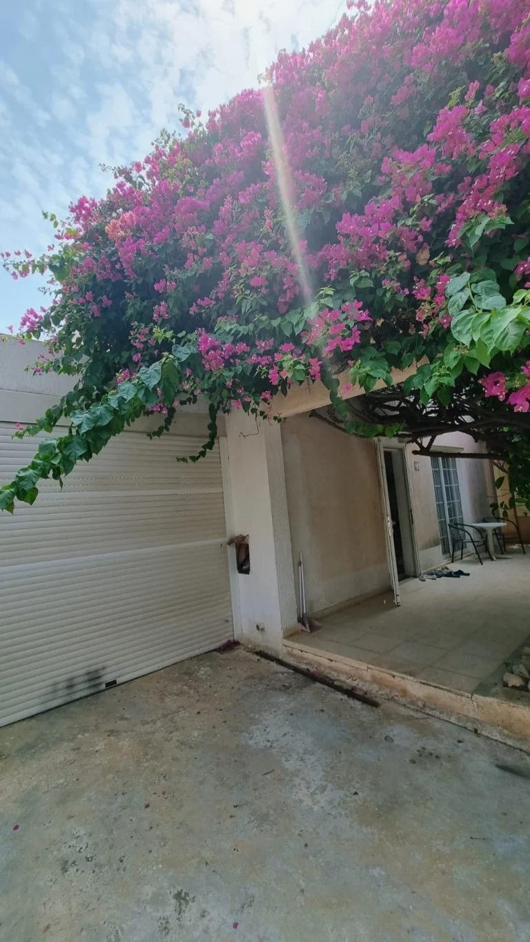 3 Bedroom House for Sale in Chlorakas, Paphos District