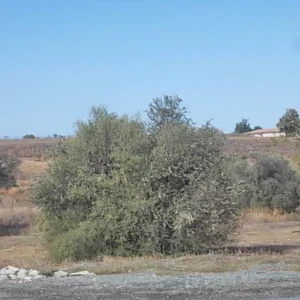 3,949m² Plot for Sale in Tseri, Nicosia District