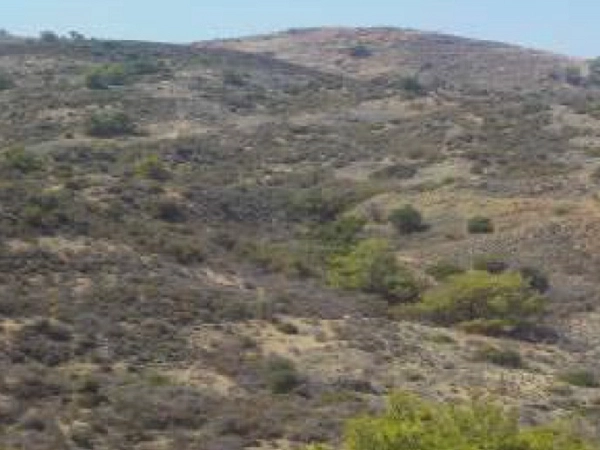 21,740m² Plot for Sale in Kato Pyrgos, Nicosia District