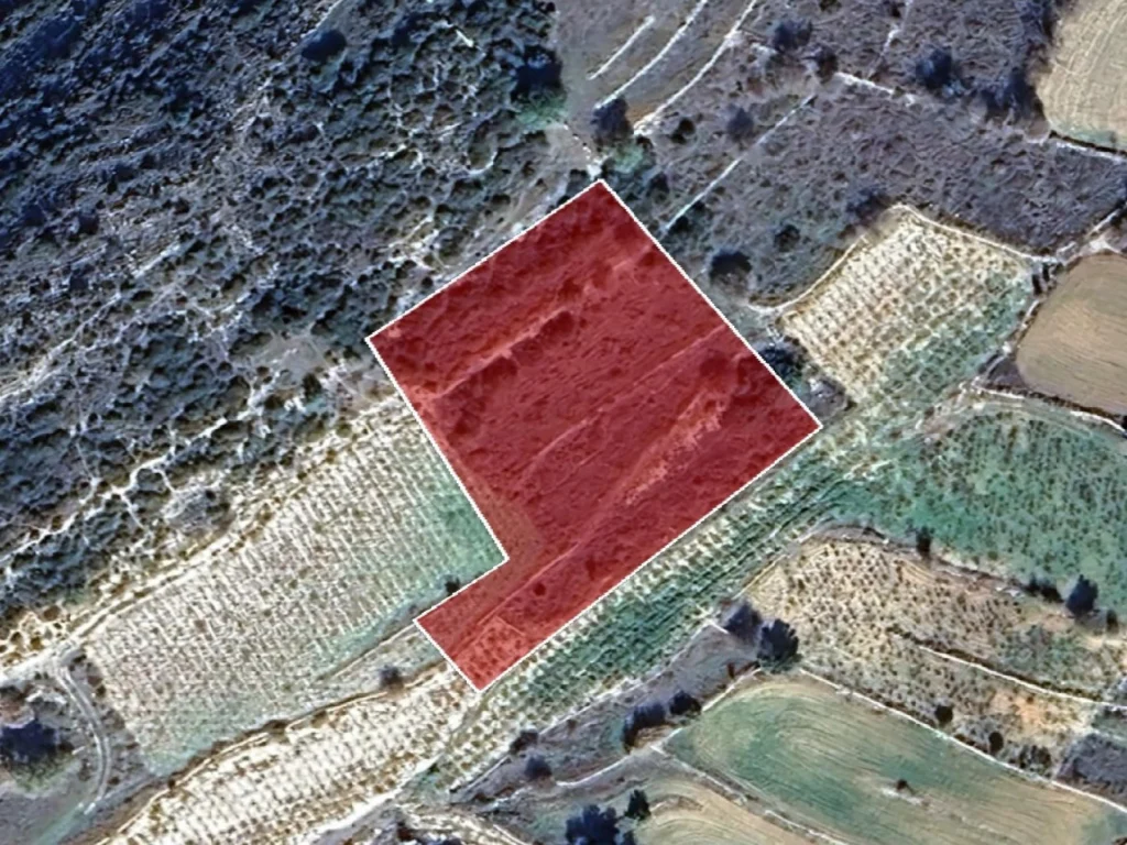 4,348m² Plot for Sale in Pachna, Limassol District