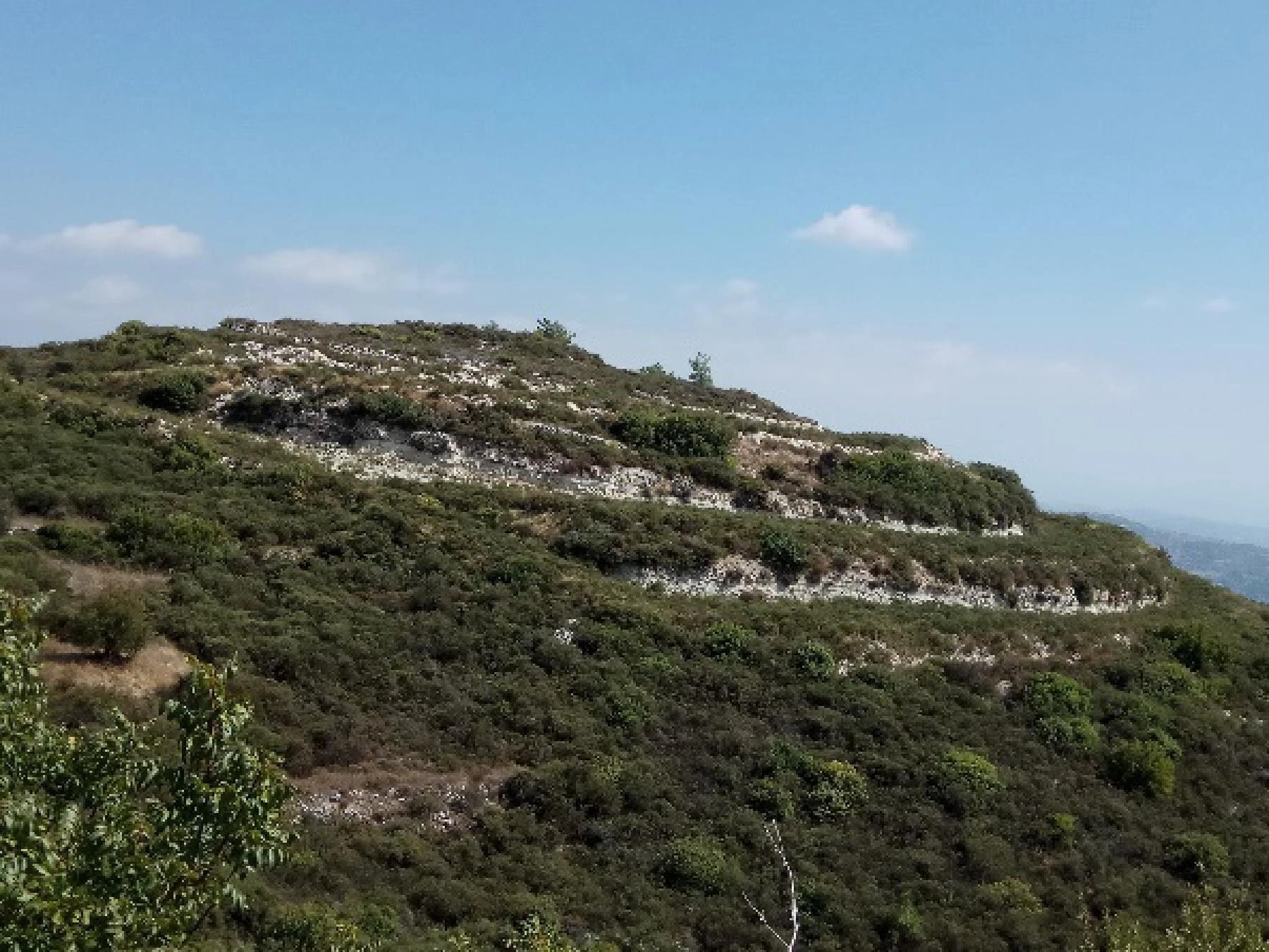 3,512m² Plot for Sale in Agios Therapon, Limassol District