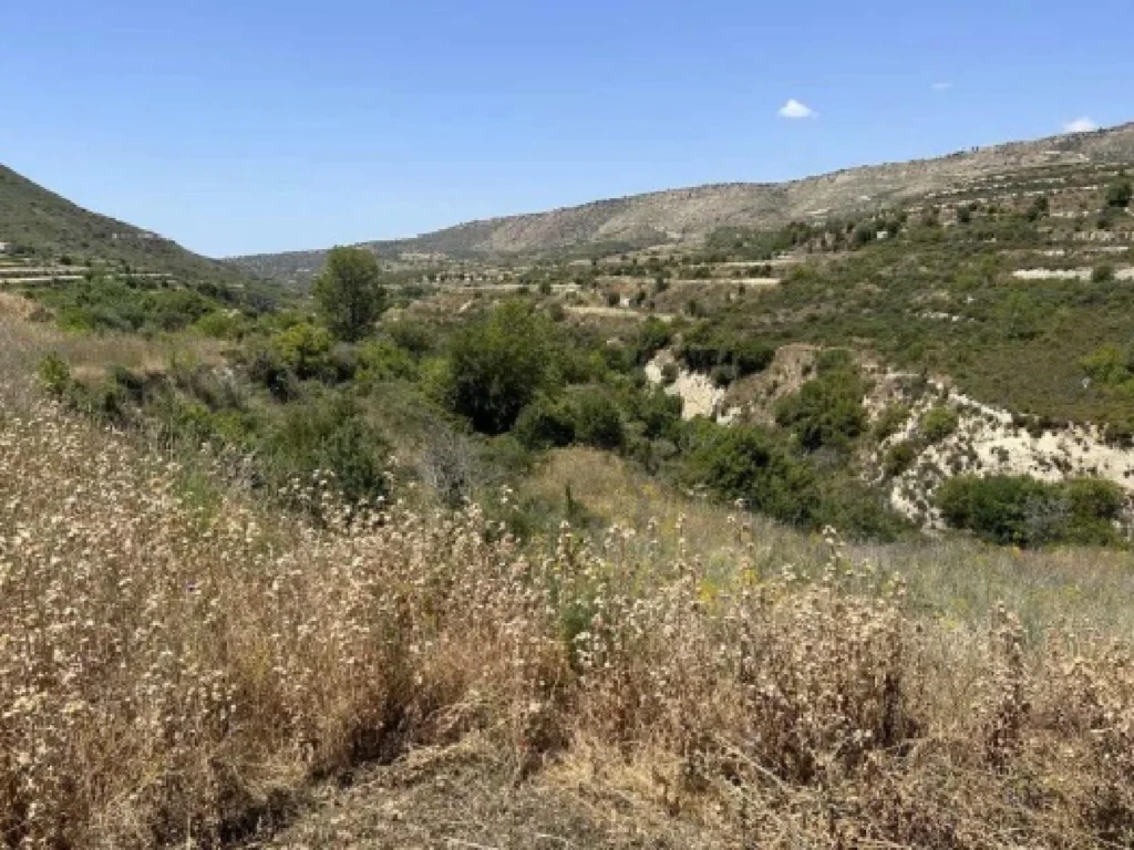 1,338m² Plot for Sale in Agios Amvrosios Lemesou, Limassol District