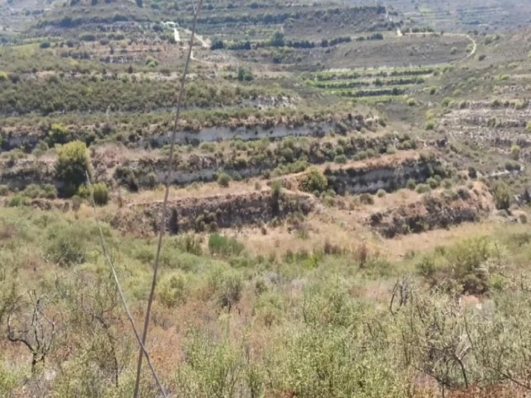 6,021m² Plot for Sale in Pachna, Limassol District