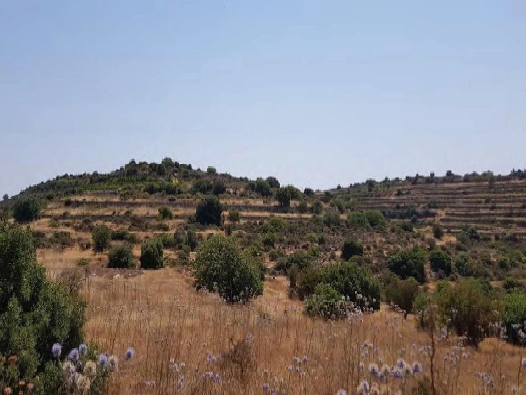9,031m² Plot for Sale in Pachna, Limassol District
