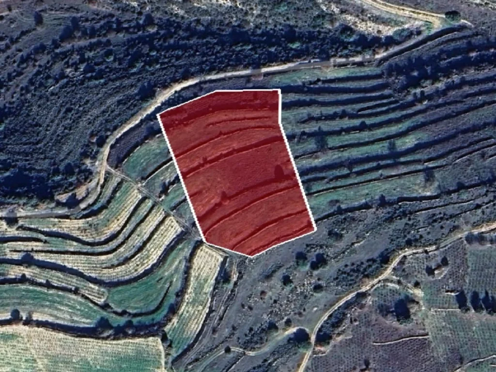 9,031m² Plot for Sale in Pachna, Limassol District