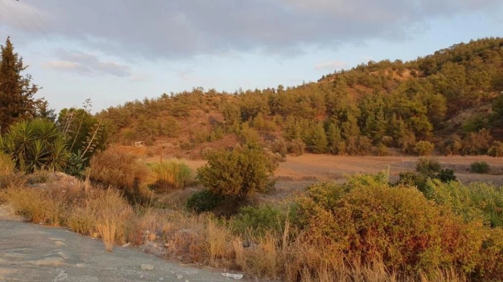 for Sale in Mosfiloti, Larnaca District