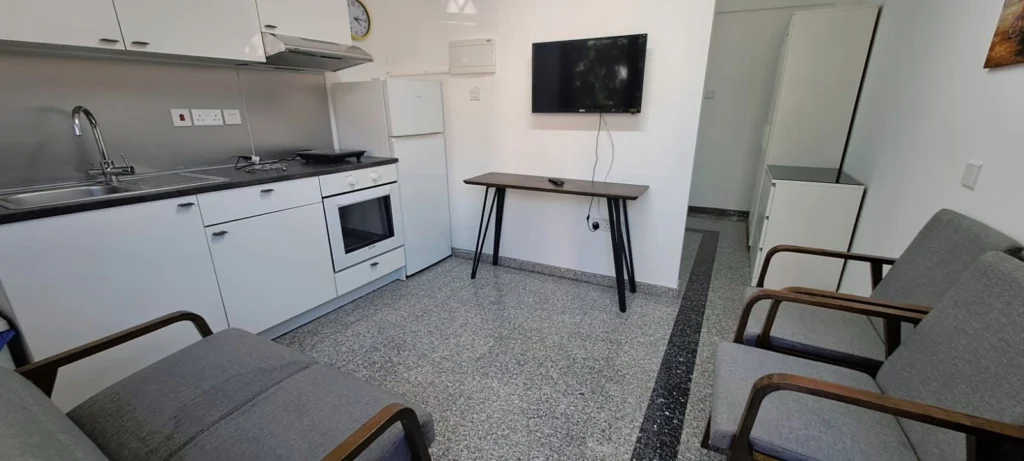 1 Bedroom Apartment for Rent in Limassol District