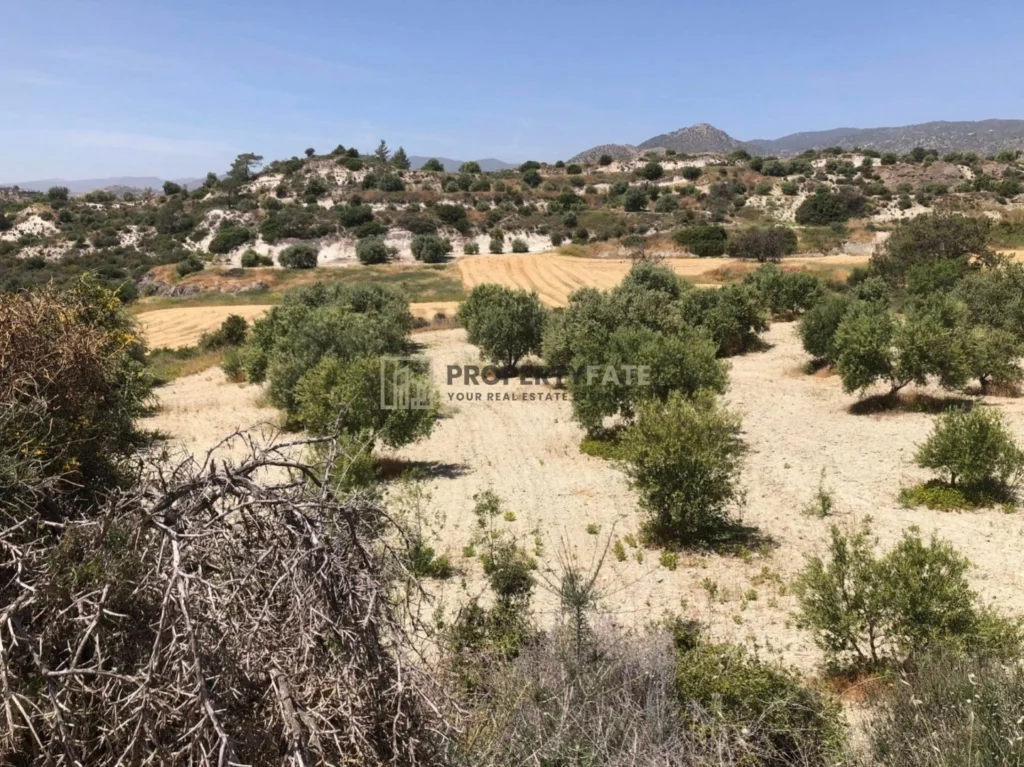 18,959m² Plot for Sale in Monagroulli, Limassol District