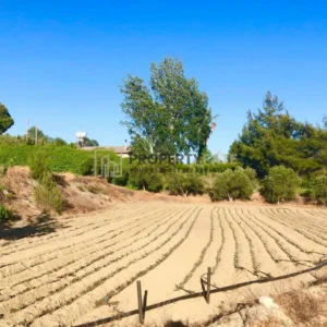 7,500m² Plot for Sale in Kellaki, Limassol District