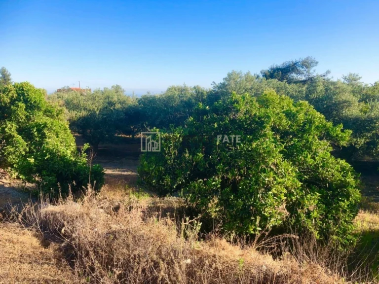 7,500m² Plot for Sale in Kellaki, Limassol District