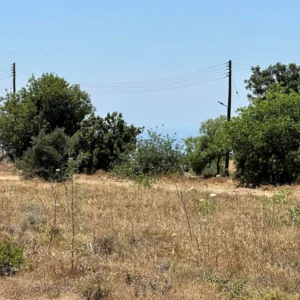 6,095m² Plot for Sale in Mesogi, Paphos District