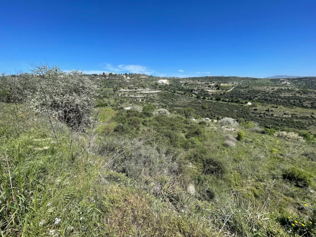 6,689m² Plot for Sale in Tsada, Paphos District