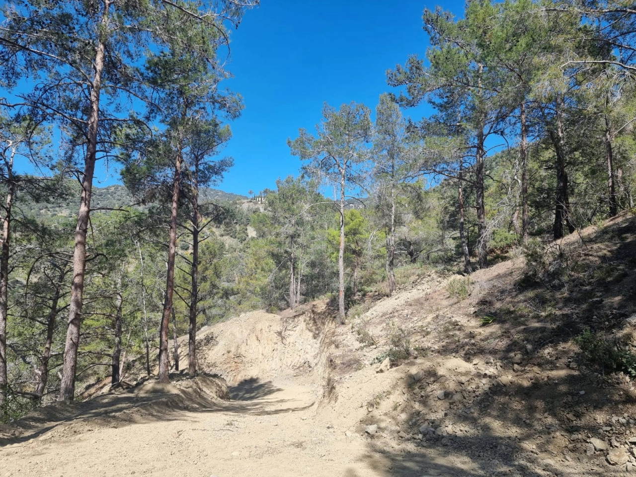 for Sale in Moniatis, Limassol District