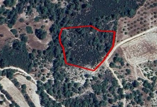 8,362m² Plot for Sale in Paphos District