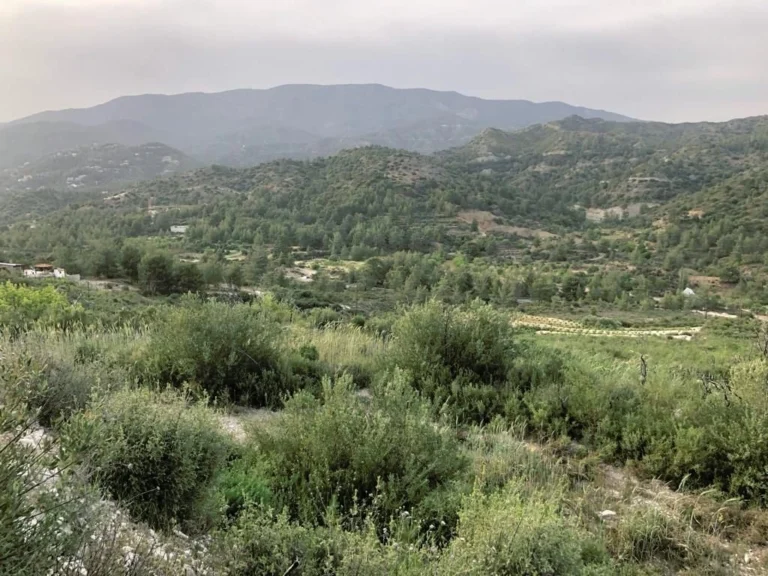 25,284m² Plot for Sale in Troodos, Limassol District