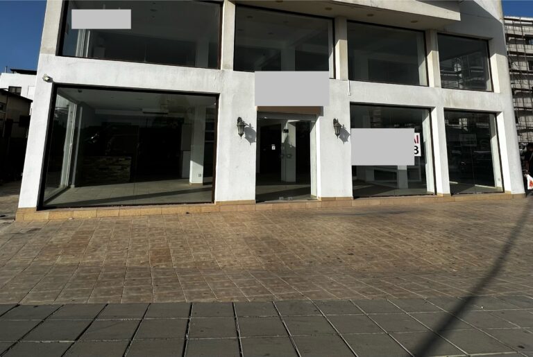 359m² Commercial for Rent in Larnaca