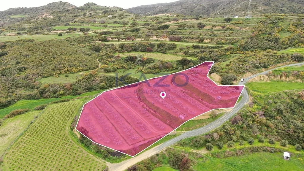 8,027m² Plot for Sale in Pissouri, Limassol District