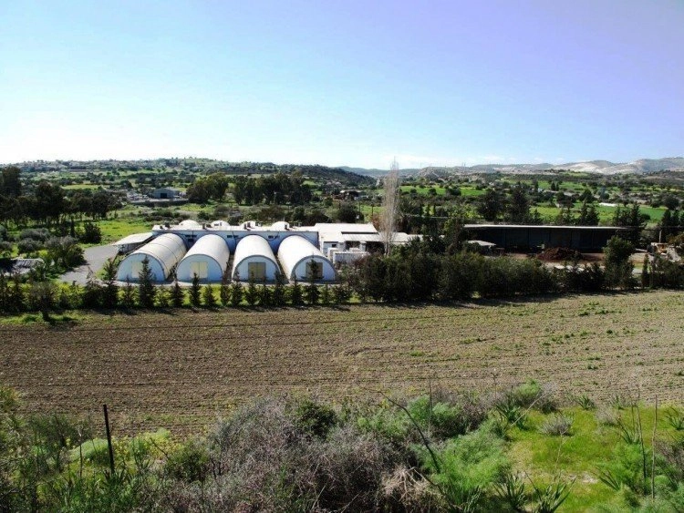 2000m² Commercial for Sale in Kalavasos, Larnaca District