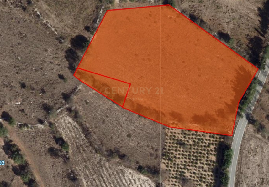 Plot for Sale in Paphos District