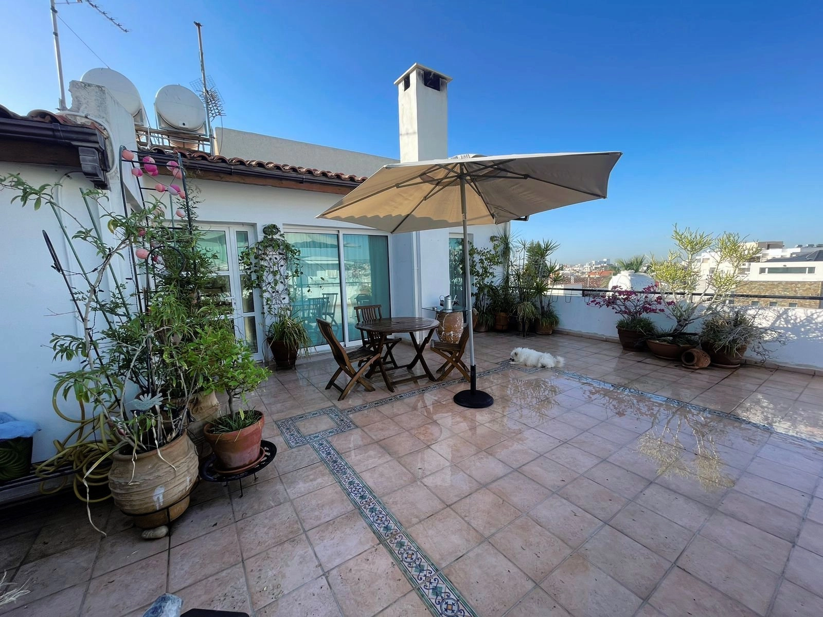 3 Bedroom Apartment for Rent in Limassol District