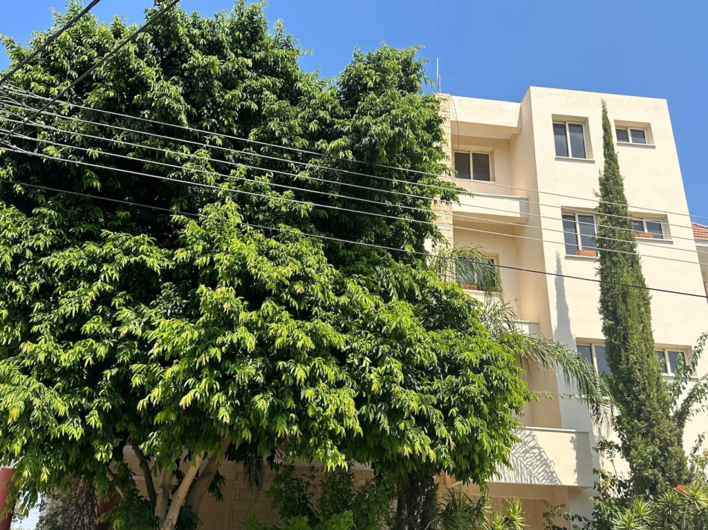 1243m² Building for Sale in Limassol District