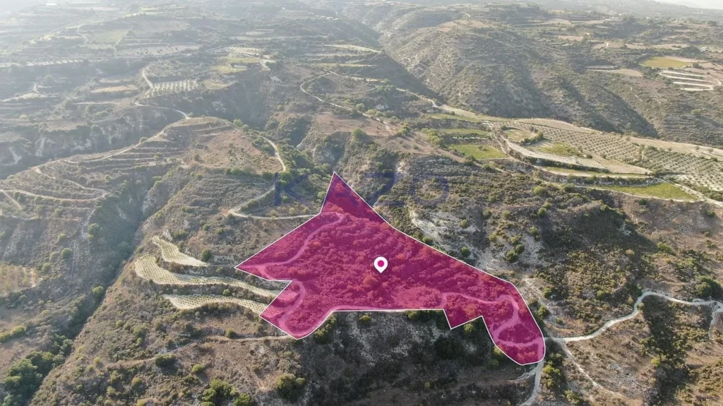 25,084m² Plot for Sale in Theletra, Paphos District