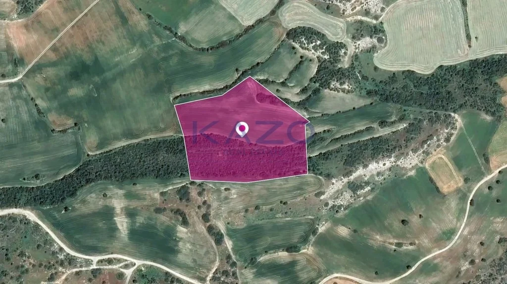 21,071m² Plot for Sale in Agios Theodoros, Larnaca District