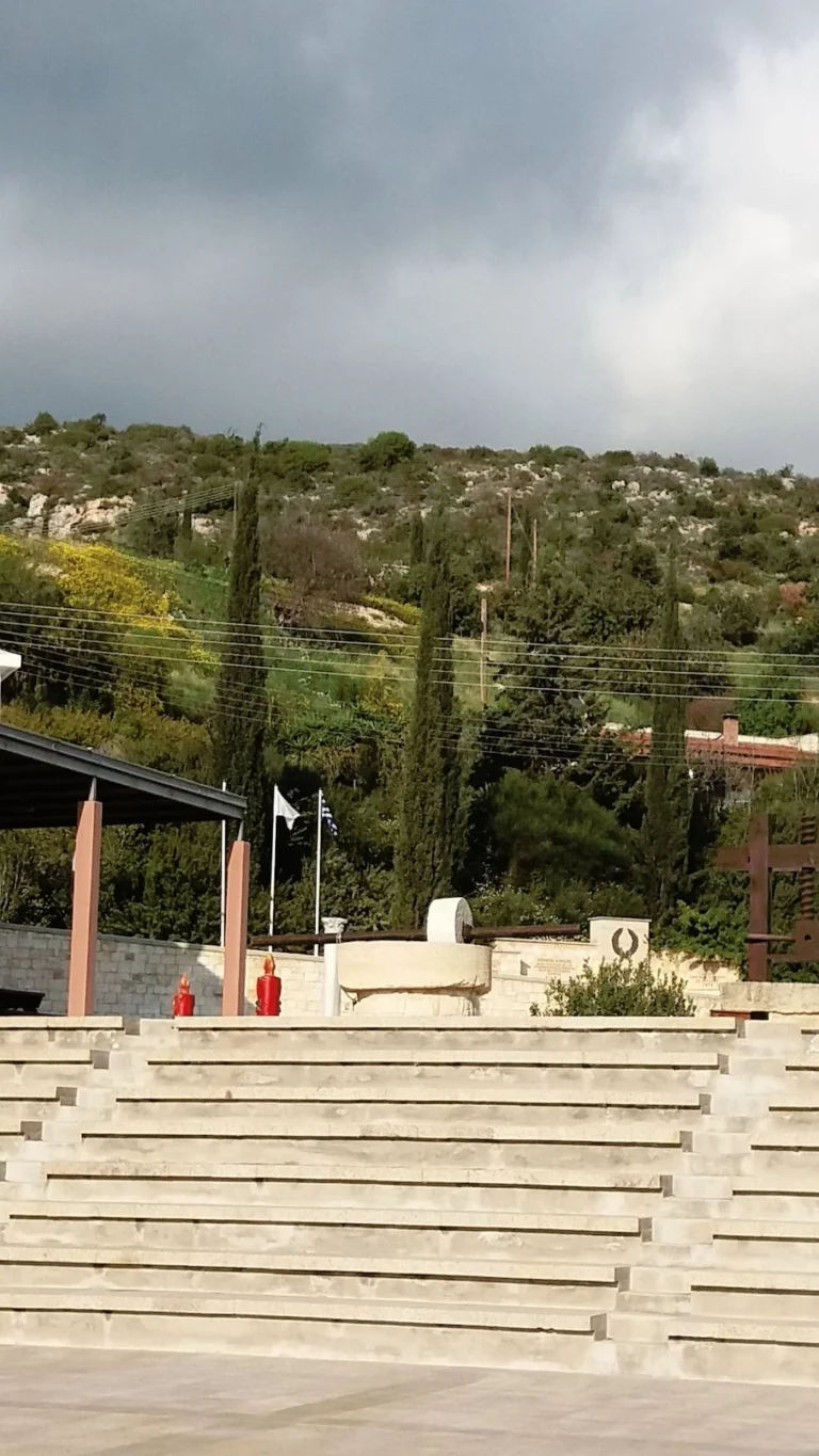 16,740m² Plot for Sale in Steni, Paphos District