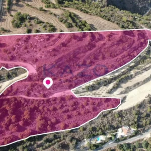 30,351m² Plot for Sale in Miliou, Paphos District