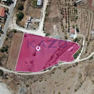 8,300m² Plot for Sale in Choletria, Paphos District